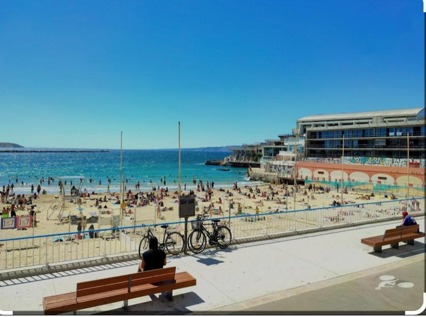 Studio Toit Terrasse Vieux Port Marseille Eksteriør billede